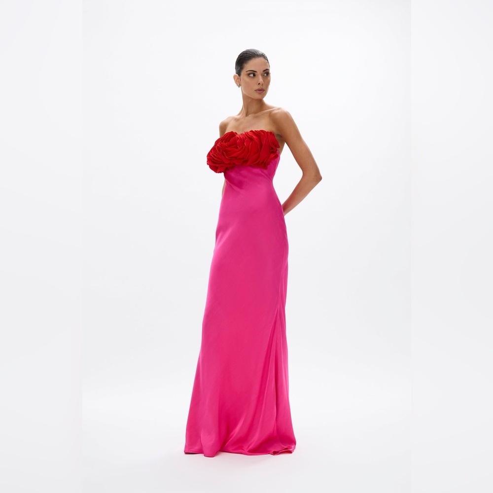 Rachel Gilbert Fuschia Floral Appliqued Friorella Gown AU1/US4 NWT